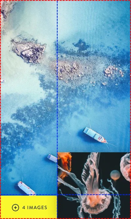 Images with grid tracks overlaid